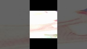 Гуляем с уточкой. Милкой.