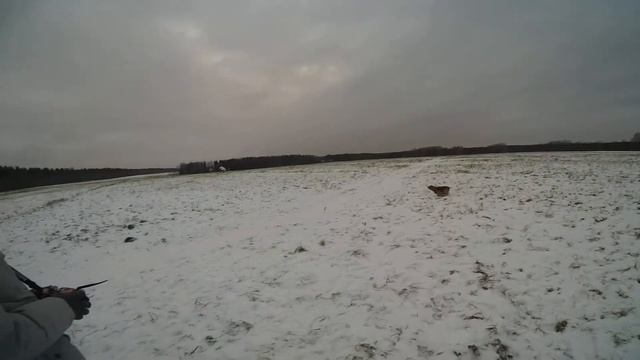 Хороший был пёсик смотреть онлайн