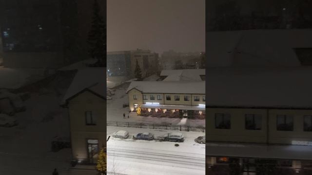 Снегопад в Ярославле. Неужели пришла зима в январе? ❄️