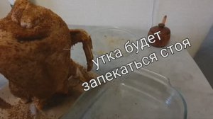 Дичь.  Готовлю утку в духовке.