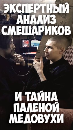 Эксперты в области неумолкания обсуждают смешариков