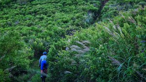 Велобложек|Приморский край|Фокино - Анна|7/15