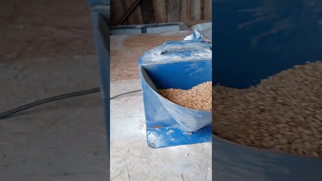(Рацион для быков на откорм)