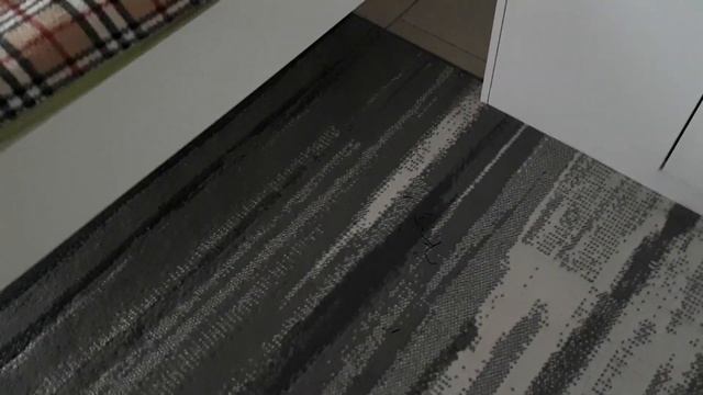 Інтелект України 3 клас ЯПС тиждень 19 урок 171 смотреть онлайн