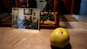 Антоновка полуторафунтовая, дом-музей Мичурина