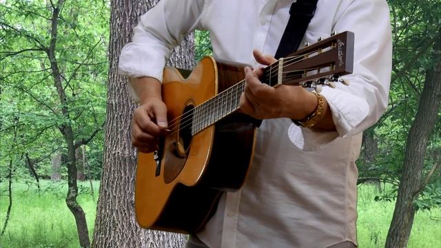 Omega - Gyöngyhajú lány - Scorpions - White Dove - Guitar Cover by Enyedi Sándor