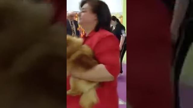 Наш победитель Оливер из Бело-Голубых Ангелов 😊⭐️🏆 смотреть онлайн