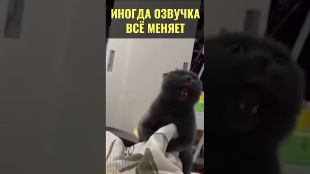 Я заваюю весь Мир