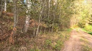 Из жалости, богач взял с собой в палату к умирающему сыну продрогшую сиротку. А едва та коснулась..