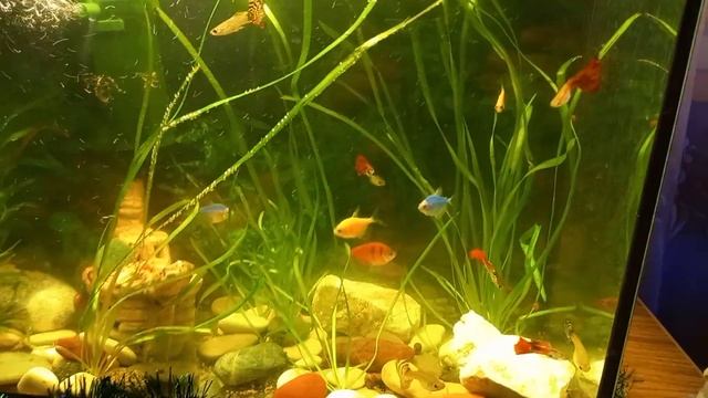 4 января 2022 г. смотреть онлайн