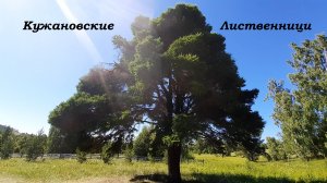 Кужановские Лиственници. Водопад Могак. Белый Лекарь.