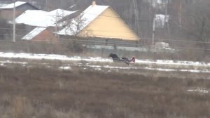 Раменский ипподром. Бега. 07.12.14. Заезд 1