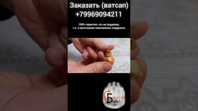 Маточное молочко в маточниках (ватсап +79969094211) смотреть онлайн
