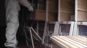 Расширение семей в кассетном павильоне Берендей 2017