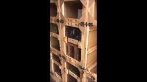 Кассетный пчелопавильон Берендей в Приморском крае. Результат зимовки