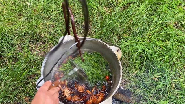 Поймала и Приготовила РАКОВ в ПИВЕ!🦀 Как вкусно приготовить речных раков__4K