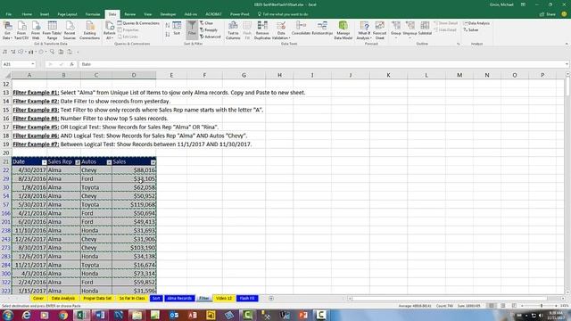 Excel Basics 23: Data Analysis Features: Sort, Filter, Flash Fill to Organize & Clean Data