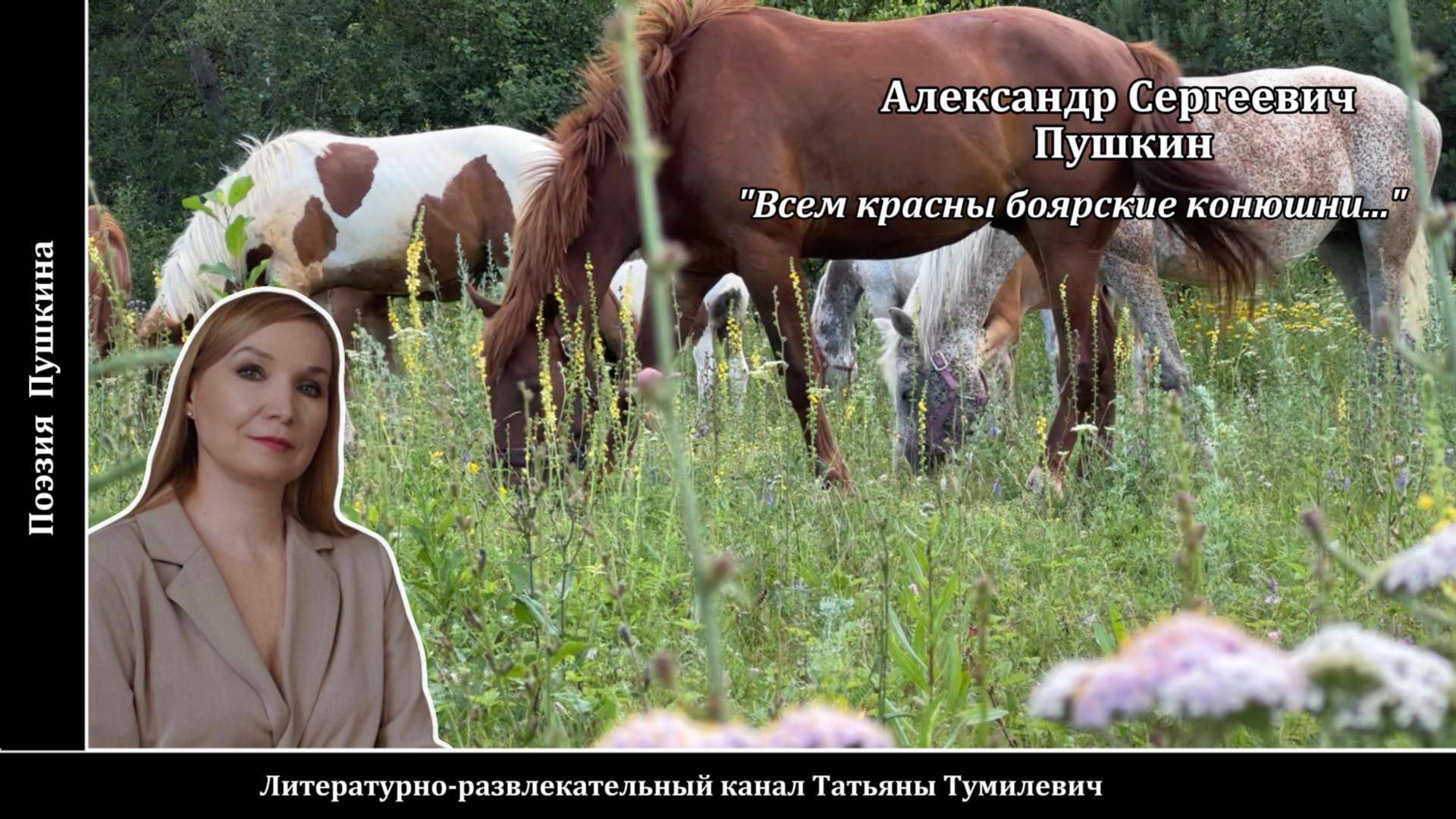 А.С.Пушкин "Всем красны боярские конюшни..." Стихи читает Татьяна Тумилевич.