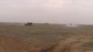 Капьяр на показ