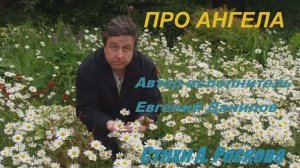 Евгений Данилов "Про Ангела"