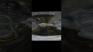 Тропы здоровья Красноярск " Гремячья Грива" _  1080