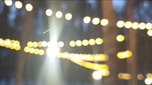 Nature 4K Природа 4K evening winter walk