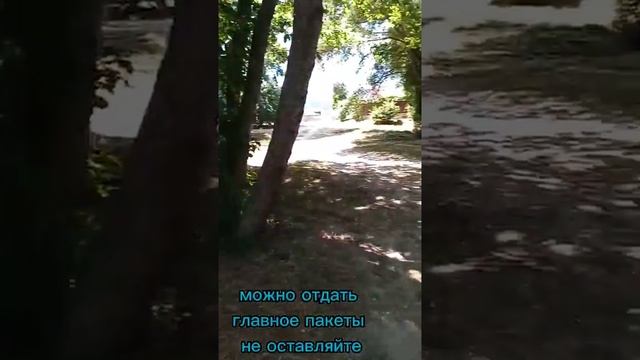 23 июня 2023 г. смотреть онлайн