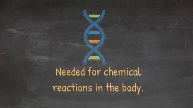 What Does Magnesium Do смотреть онлайн