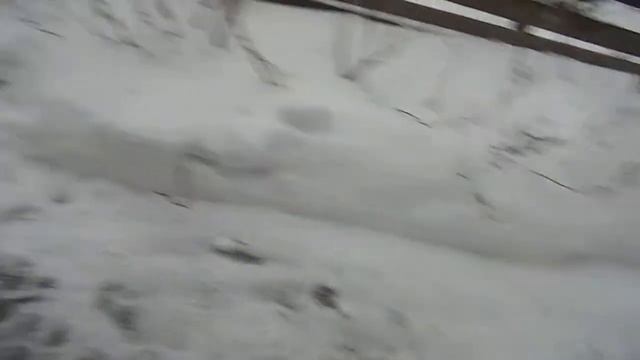 ЛЯЛЯ