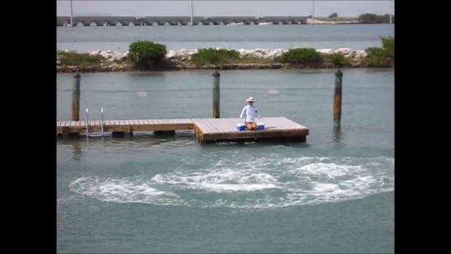 😀37 /США. GRASSY KEY .FLORIDA. DOLPHIN RESERCH CENTER. ФЛОРИДА ДЕЛЬФИНАРИЙ.