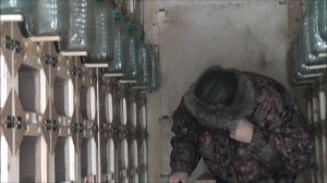 контроль зимовки 2017 года в берендеях. У нас передвигаются  на мотособаках