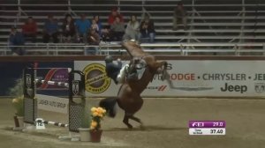 Падения с лошадей| Конкур|Кто то сломал руку?|