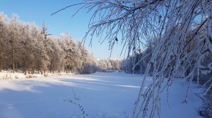 ЗИМУШКА ЗИМА В МОСКВЕ
WINTER MOSCOW