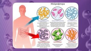 ЭТО поможет нормализовать СТУЛ и НАЛАДИТЬ работу КИШЕЧНИКА!