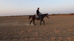 Один день из жизни ЧАБАНА
#ЧабанскиеБудни
#РанчоМиллер