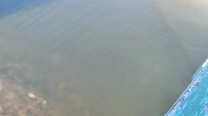 Обзор подводной камеры для рыбалки