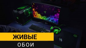 Живые обои для рабочего стола Windows 10/11. Рассказываю о простой программе для их установки!