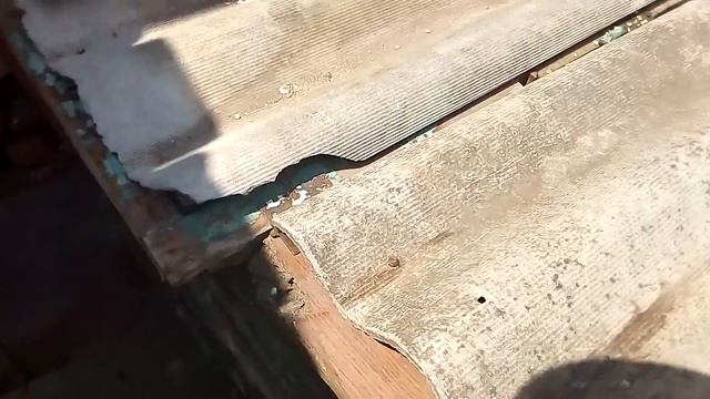 🔵Сельские новости. Кролики куры голуби крольчата Джессина бутка№1//Жизнь в деревне!!! смотреть онлайн