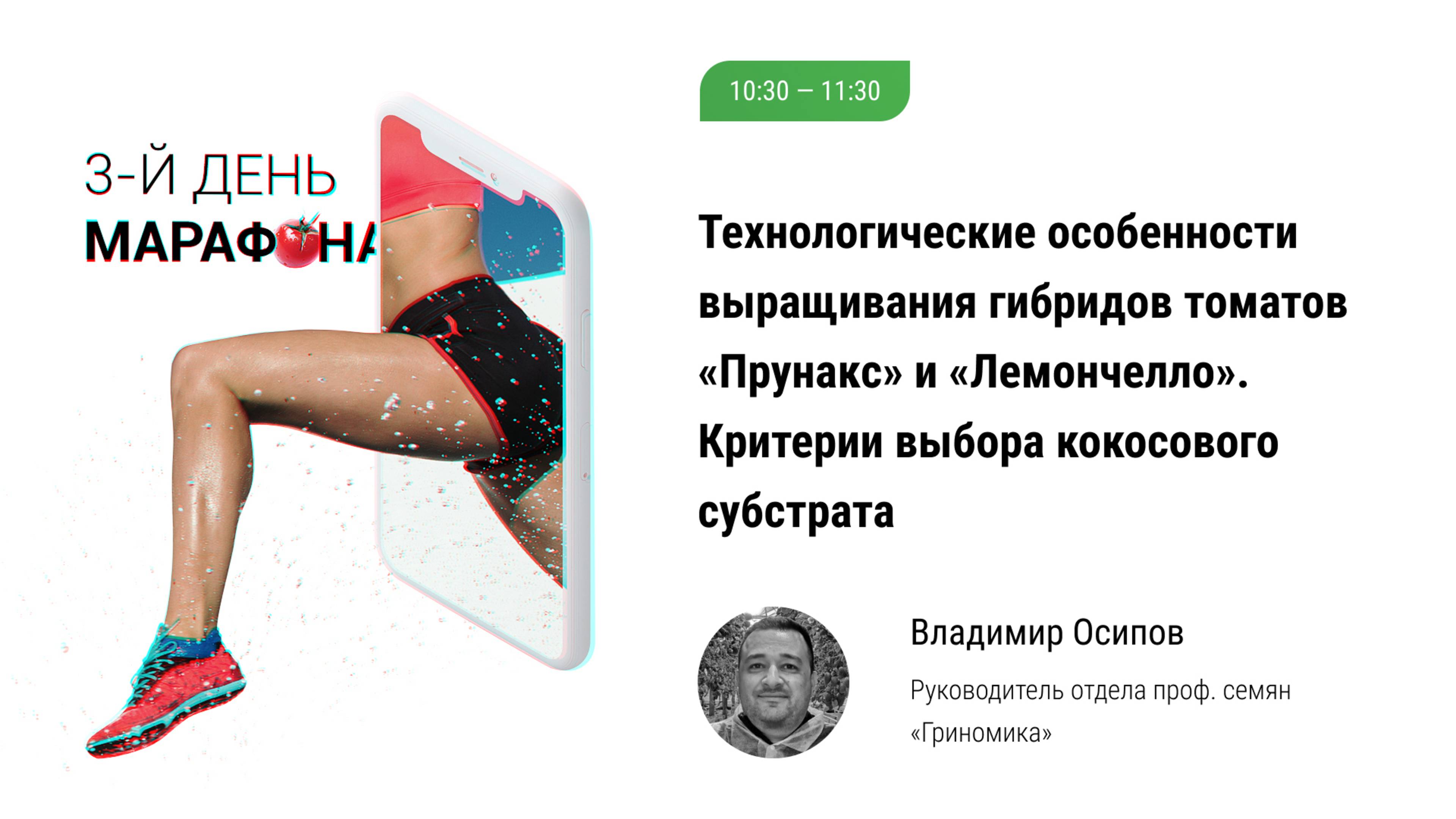 🏃 Технологические особенности выращивания гибридов томата Прунакс и Лемончелло. Выбор субстрата