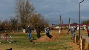 Экологическая акция по уборке территории центральной площади и посадка " Аллеи Дружбы"