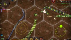 играюс ”папой,,в лит биг снейкс.