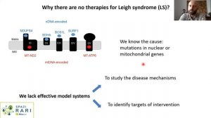 Webinar "Therapeutic strategies for Leigh Syndrome"