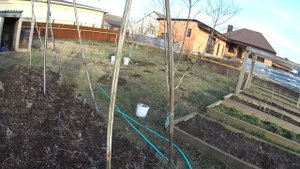 Как избавиться от кротов и  медведок на участке , 200 процентов гарантии, без особых усилий.1часть.