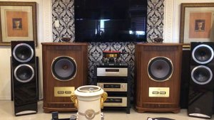Tannoy ct200 + Tannoy Canterbury SE
