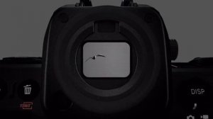 Nikon Z8 Epic Review: The Ultimate Camera for Professionals.