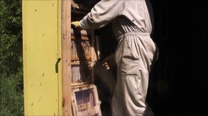 кассетный пчелопавильон Берендей. отбор меда ч 3