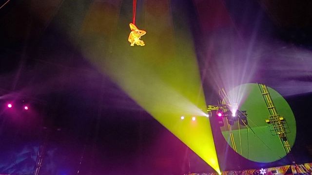 Новогоднее представление в цирке смотреть онлайн