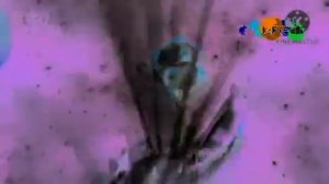 Карусель Анонс Поймай Тинипин in G Major 13