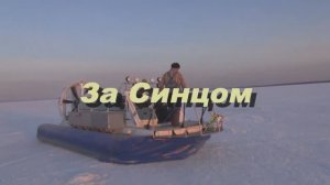 Синец