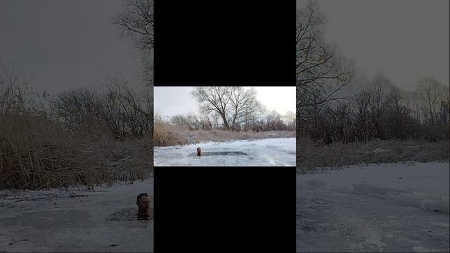 Закаливание, Моржевание #shorts